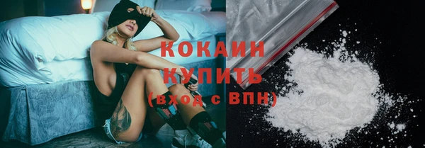 первитин Богданович