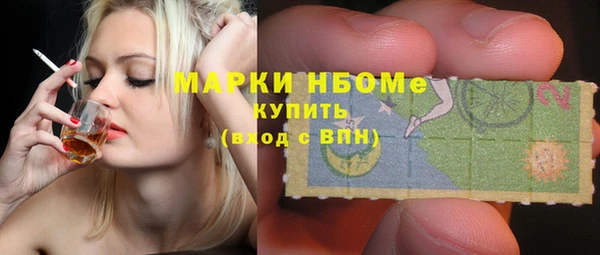 шишки Богородицк
