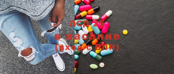 шишки Богородицк