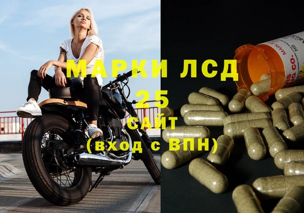 PSILOCYBIN Семилуки