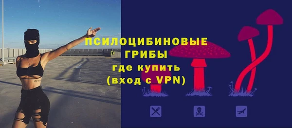 первитин Богданович
