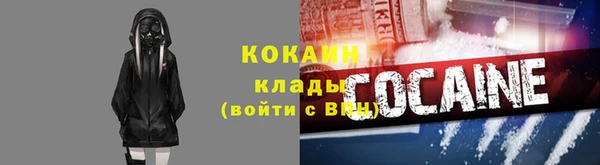 шишки Богородицк