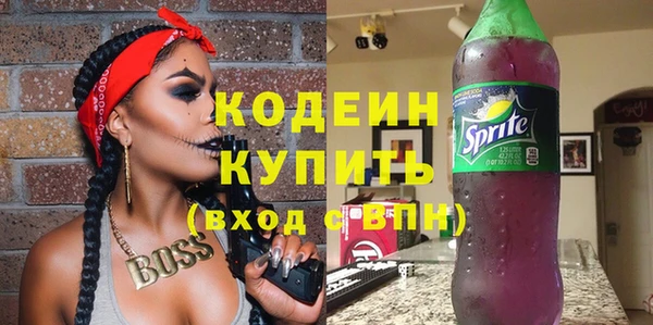 шишки Богородицк