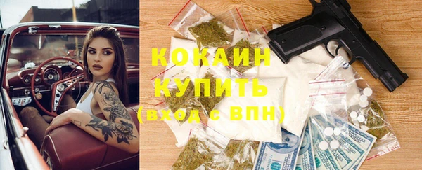 mix Богородск