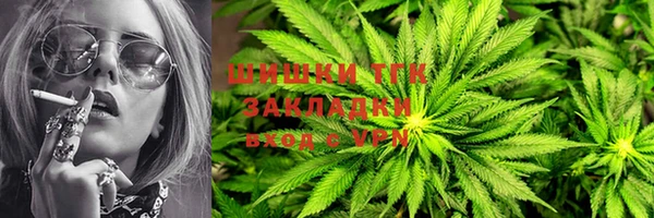 шишки Богородицк