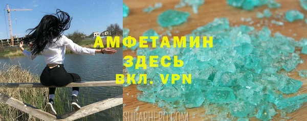 шишки Богородицк