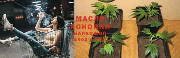 первитин Богданович