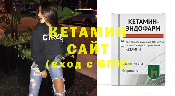 шишки Богородицк