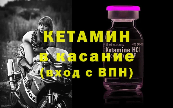 шишки Богородицк