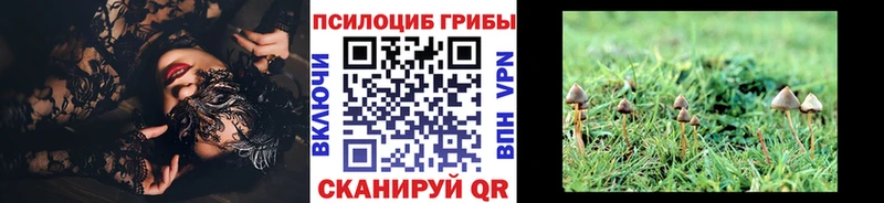 Псилоцибиновые грибы Magic Shrooms  как найти   Дальнегорск 